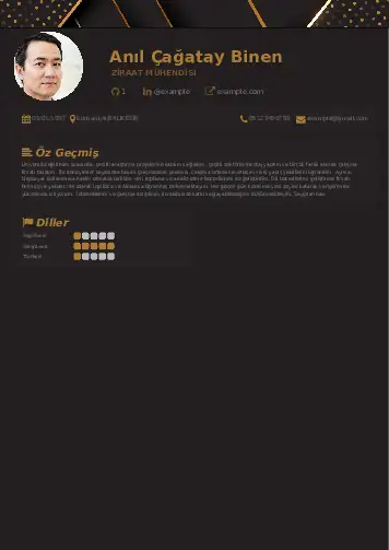 Ziraat Mühendisi Cv Örnekleri cv indir
